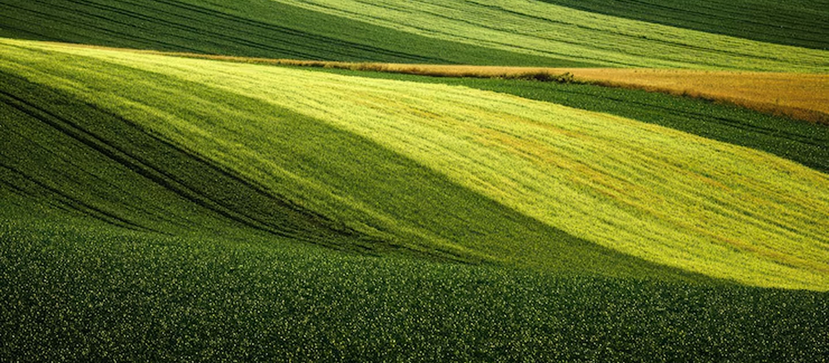 Agriculture & AgriTech