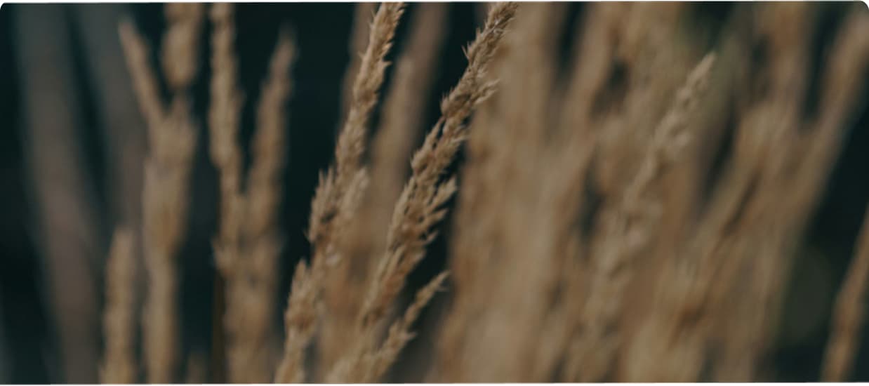 Agrictech Data & Advanced Analytics