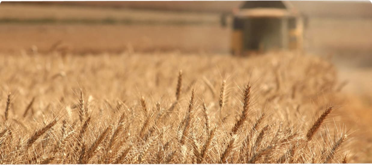 Farm Management Systems & Operational Visibility